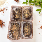 Fall Caramel Latte XL Wax Melts