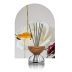 Breath Wood Transparent Glass Reed Diffuser with Aroma Oil