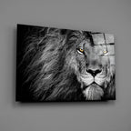 Amber Gaze Monochrome Lion Glass Wall Art