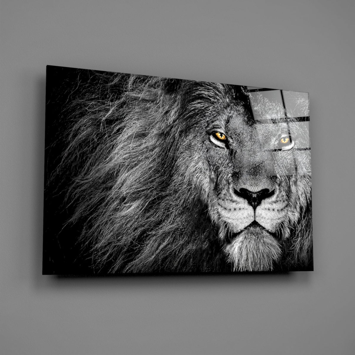 Amber Gaze Monochrome Lion Glass Wall Art