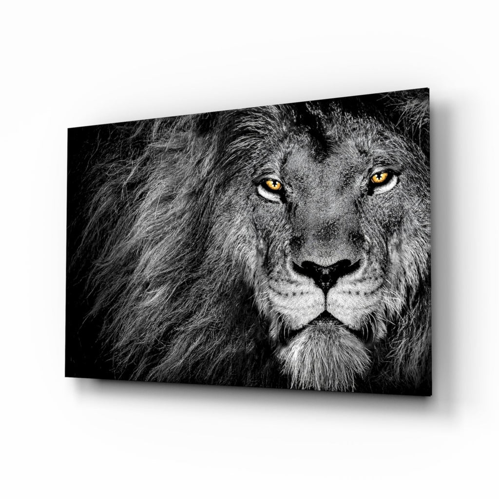 Amber Gaze Monochrome Lion Glass Wall Art