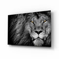 Amber Gaze Monochrome Lion Glass Wall Art