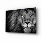 Amber Gaze Monochrome Lion Glass Wall Art