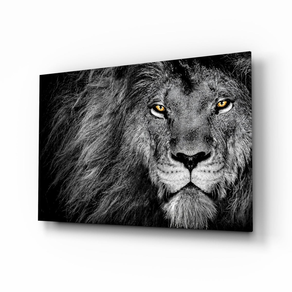 Amber Gaze Monochrome Lion Glass Wall Art