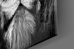 Amber Gaze Monochrome Lion Glass Wall Art