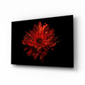 Red Dewy Gerbera Flower Glass Wall Art