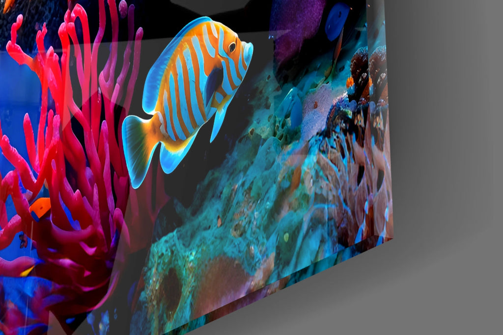 Orange Tropical Fish Coral Reef Glass Wall Art