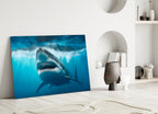Grinning Shark Below Surface Waves Glass Wall Art